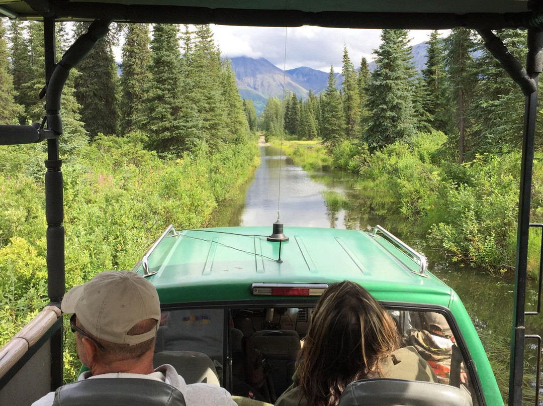 Denali Sightseeing Safaris景点图片