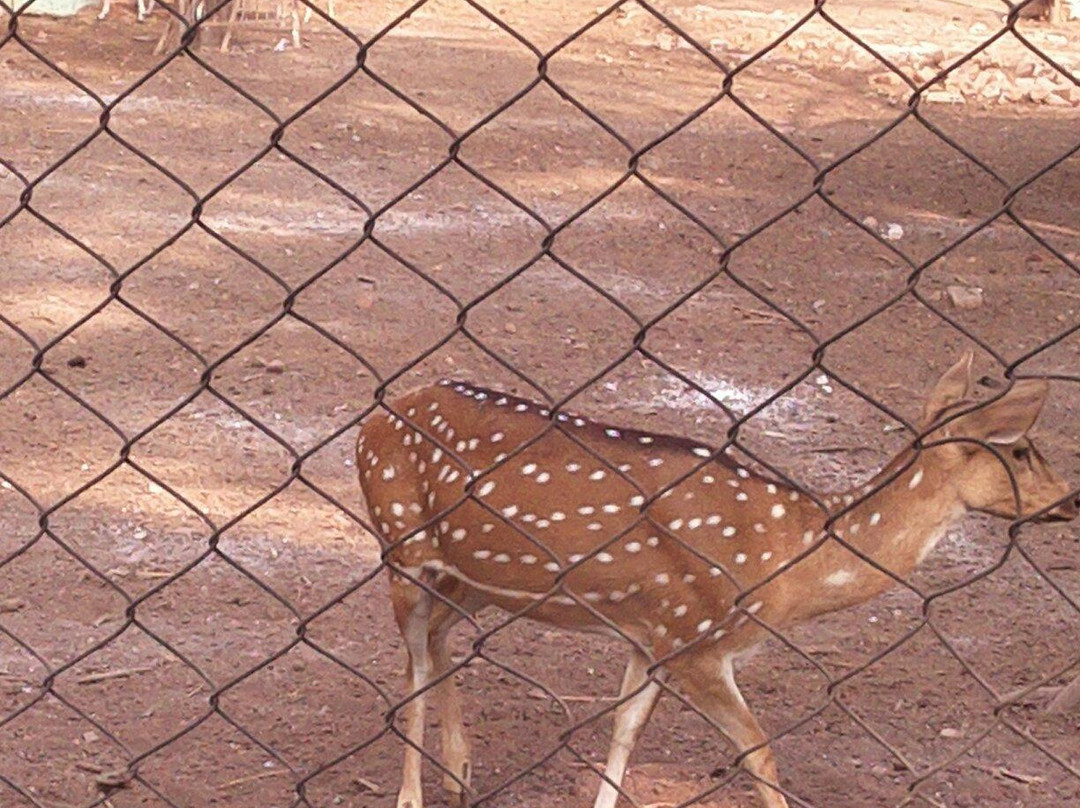 Nandan Van Nature Center景点图片