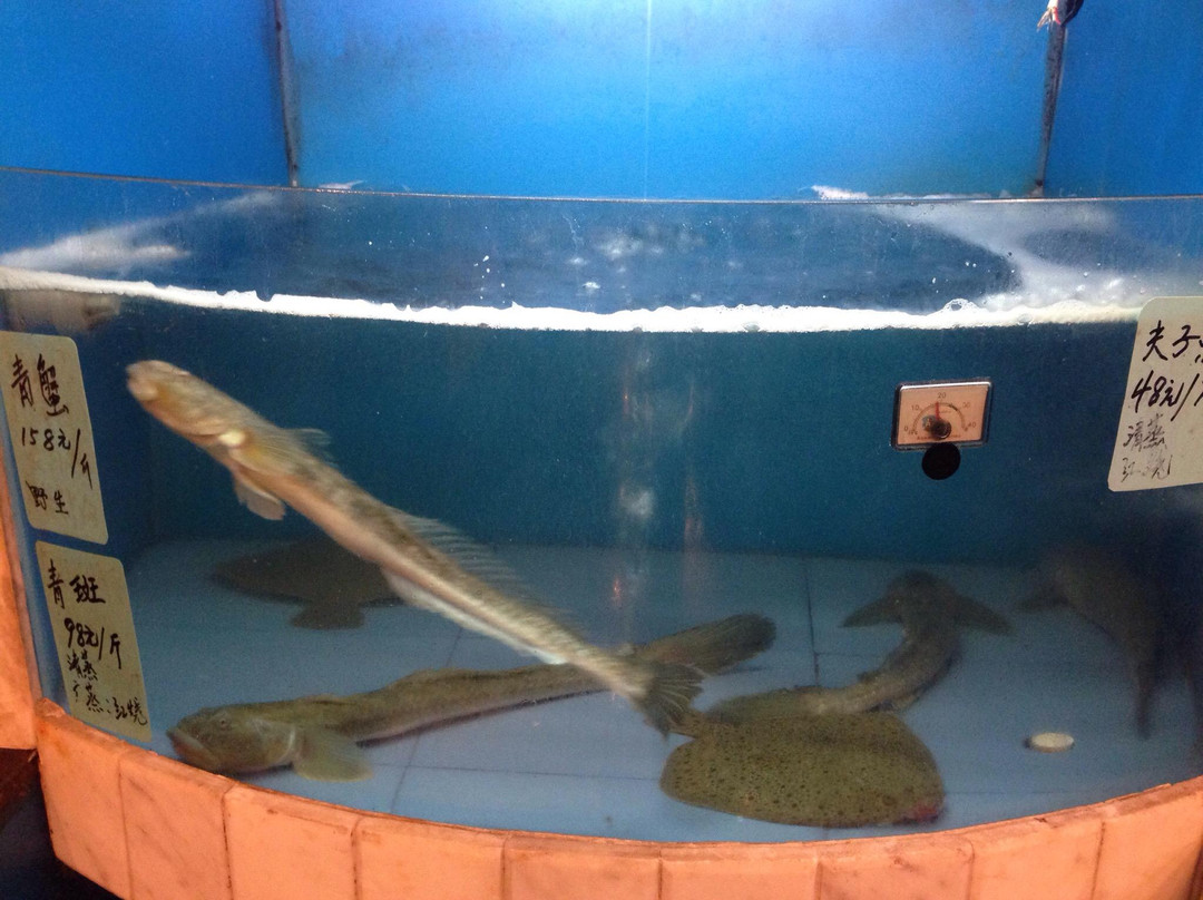 平湖九龙山国家森林公园-平湖市必去景点