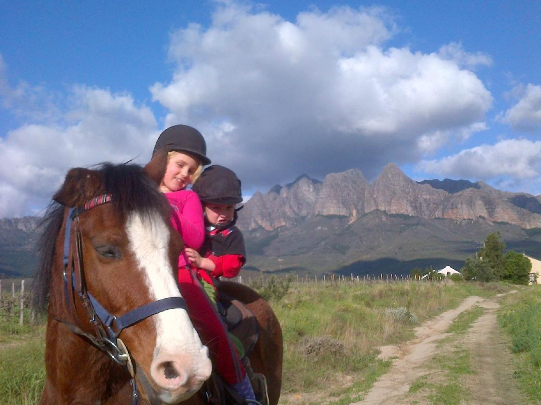 Pony Joy Rides-惠灵顿必去景点