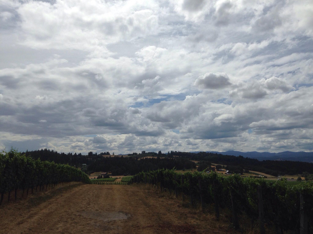 Solena Estate-Yamhill必去景点