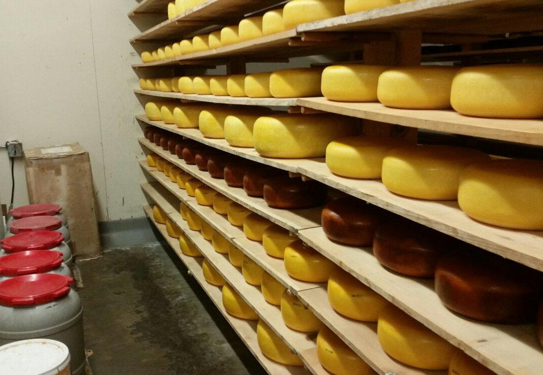 Oakdale Cheese & Specialties-奥克戴尔必去景点