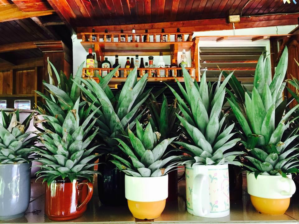 Mamallena Eco Lodge