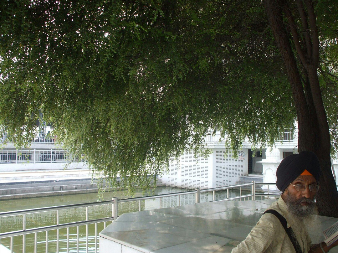 Dukh Bhanjani Ber Tree景点图片