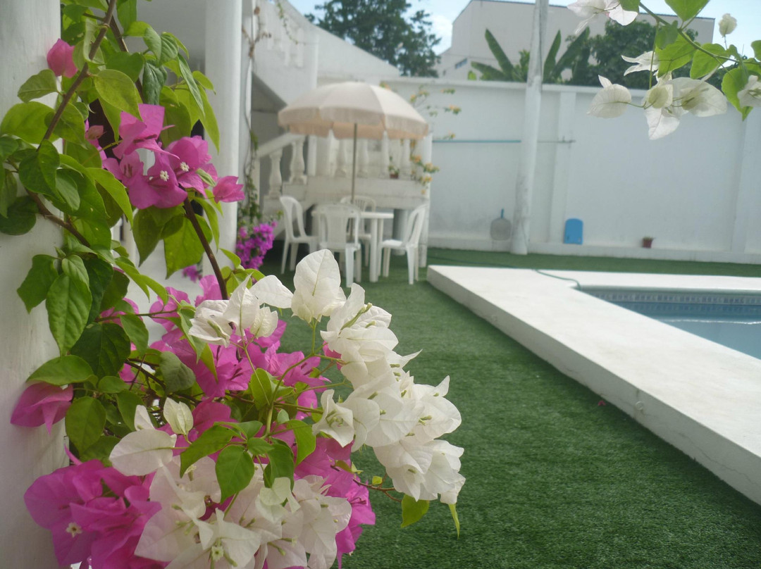 La Casa Branca de Pedernales主图