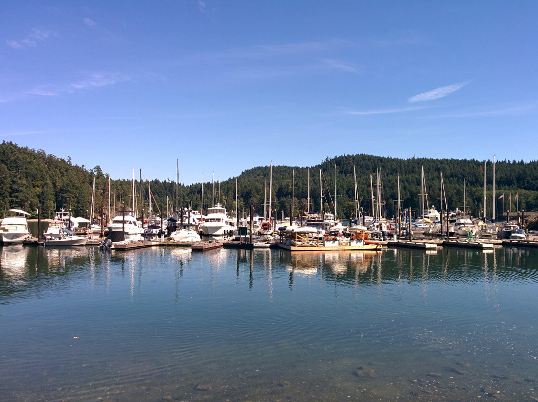 Dog Mermaid Eco Excursions, Kayak Rentals & Retreats-Pender Island必去景点