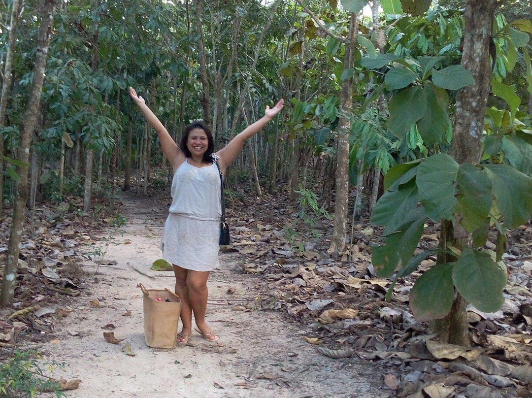 Rio Ji-Parana-Ji-Parana必去景点