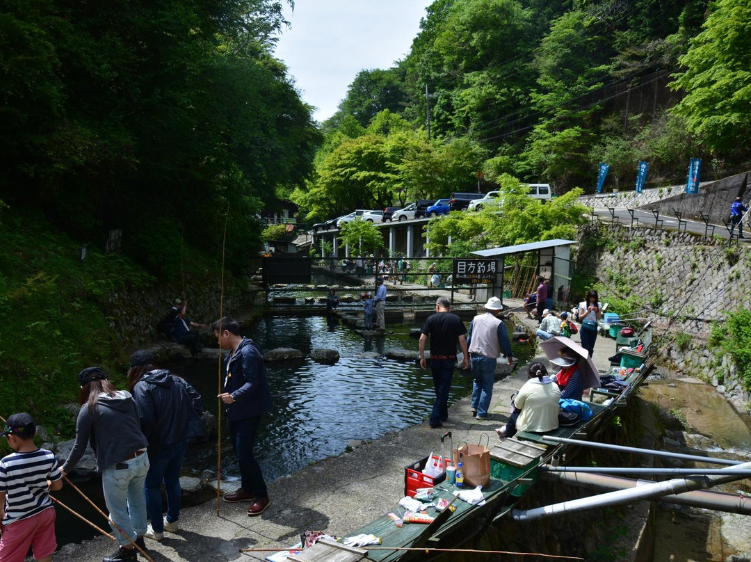 Chihayagawa Masu Fishing Area-千早赤阪村必去景点