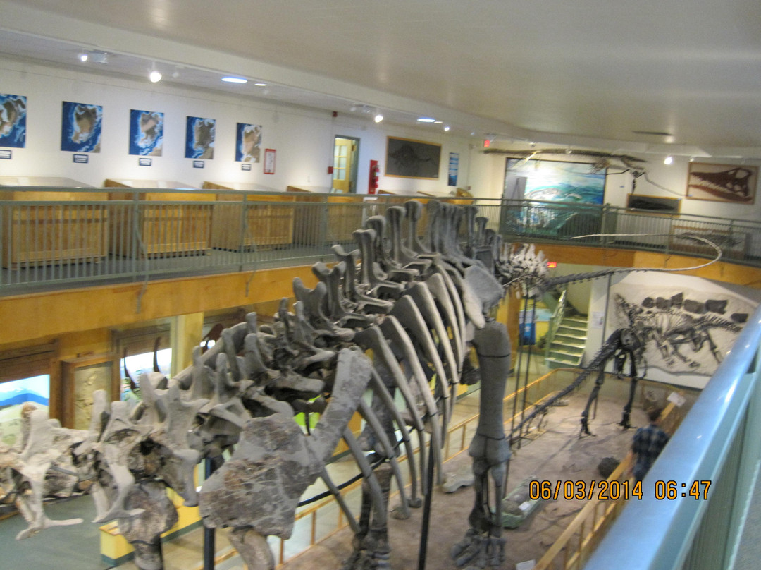 University of Wyoming Geological Museum-拉勒米必去景点