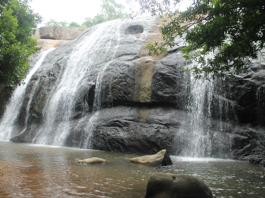 Thommankuthu Waterfalls景点图片