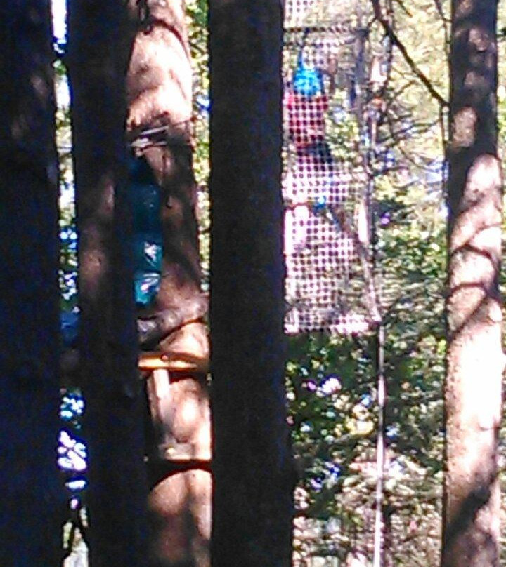 Parc Aventure Le Grand Bois-Molieres-sur-Ceze必去景点