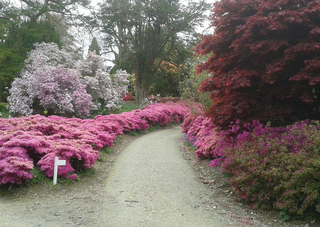 Mount Congreve Gardens-Kilmeaden必去景点