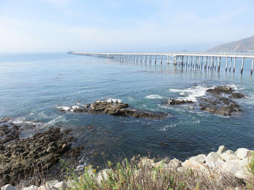 Bob Jones City to Sea Bike Trail-阿维拉海滩必去景点