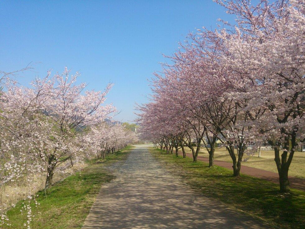 Hidagawa Park-下吕市必去景点