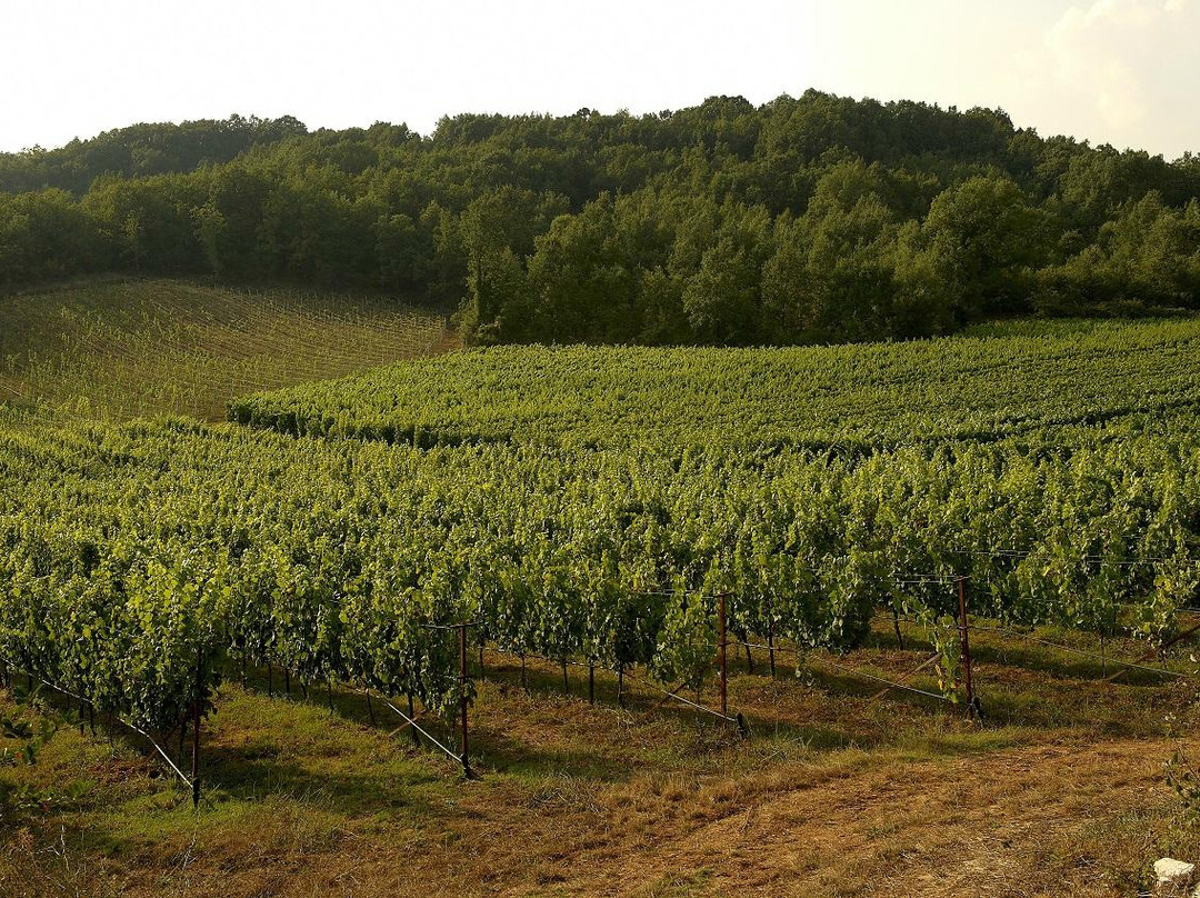 Domaine Glinavos-Zitsa必去景点
