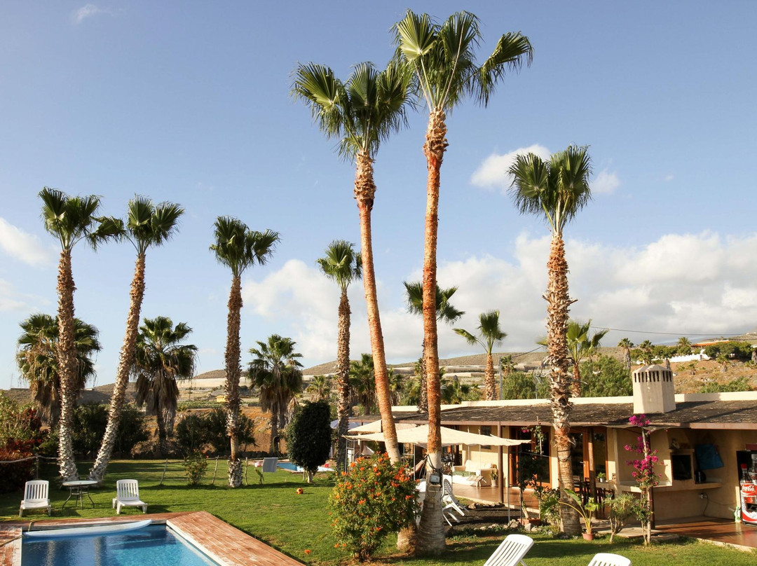 Blackstone Surf Center-特纳里夫必去景点