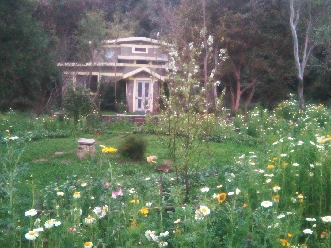 Baba Valley Farm