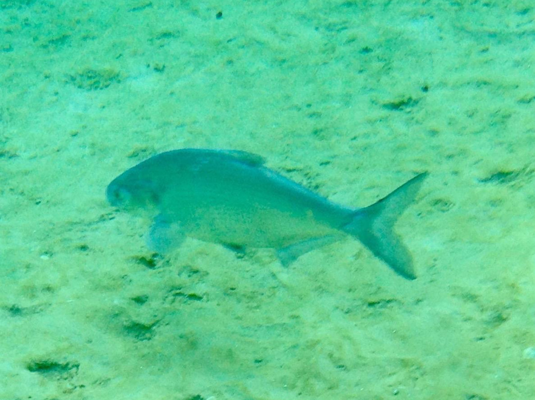 KP Hole Park-Dunnellon必去景点