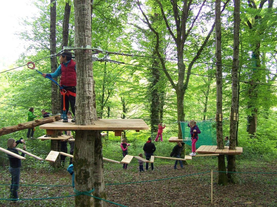 Parcours Aventure de la Bresse-Saint-Etienne-du-Bois必去景点