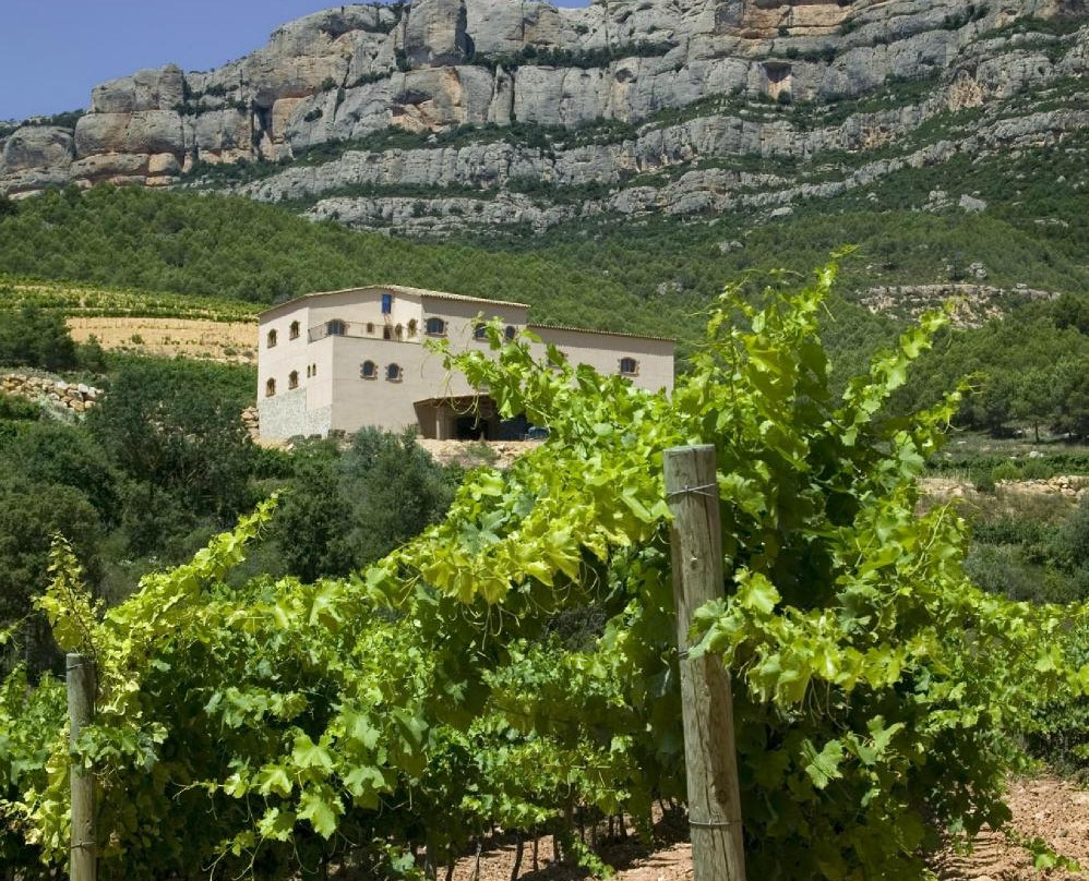 Ametller-La Morera de Montsant必去景点