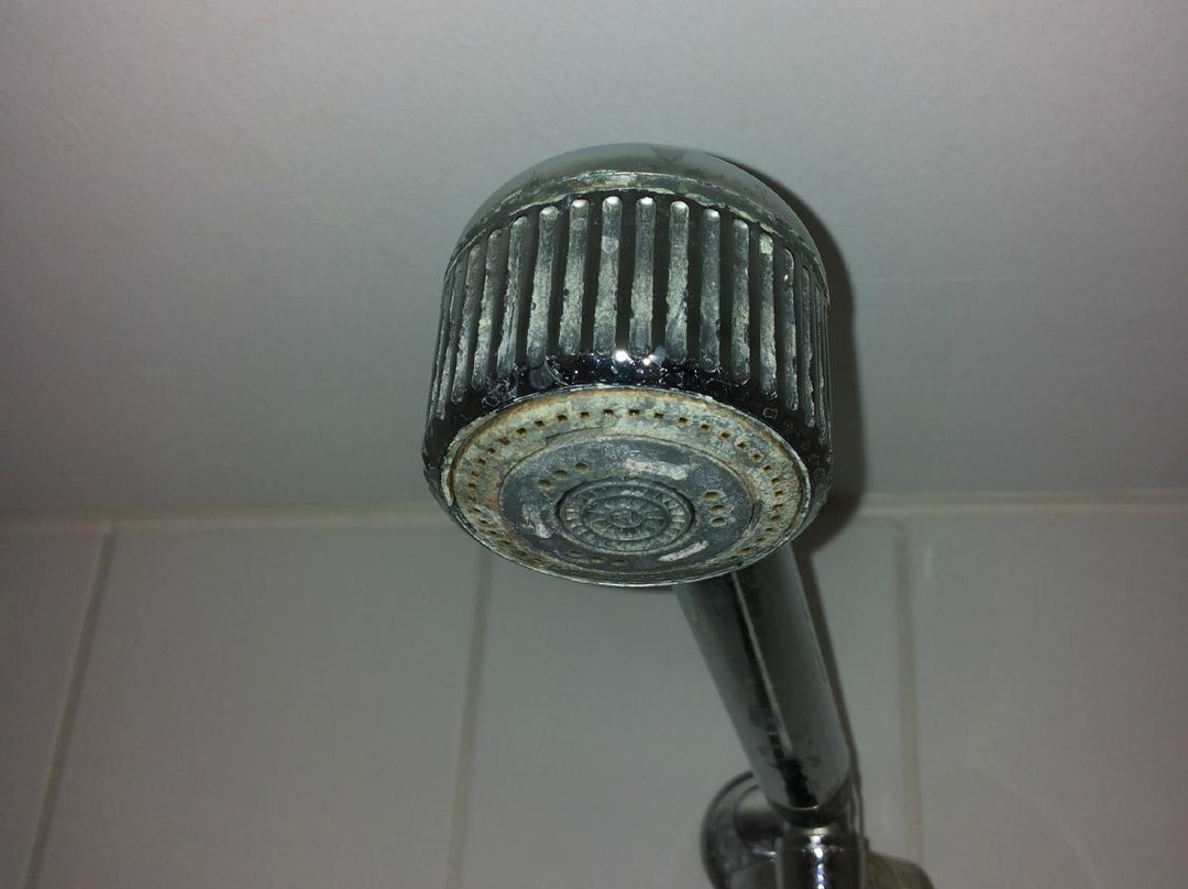 Hotel Gasthof Alter Wirt主图