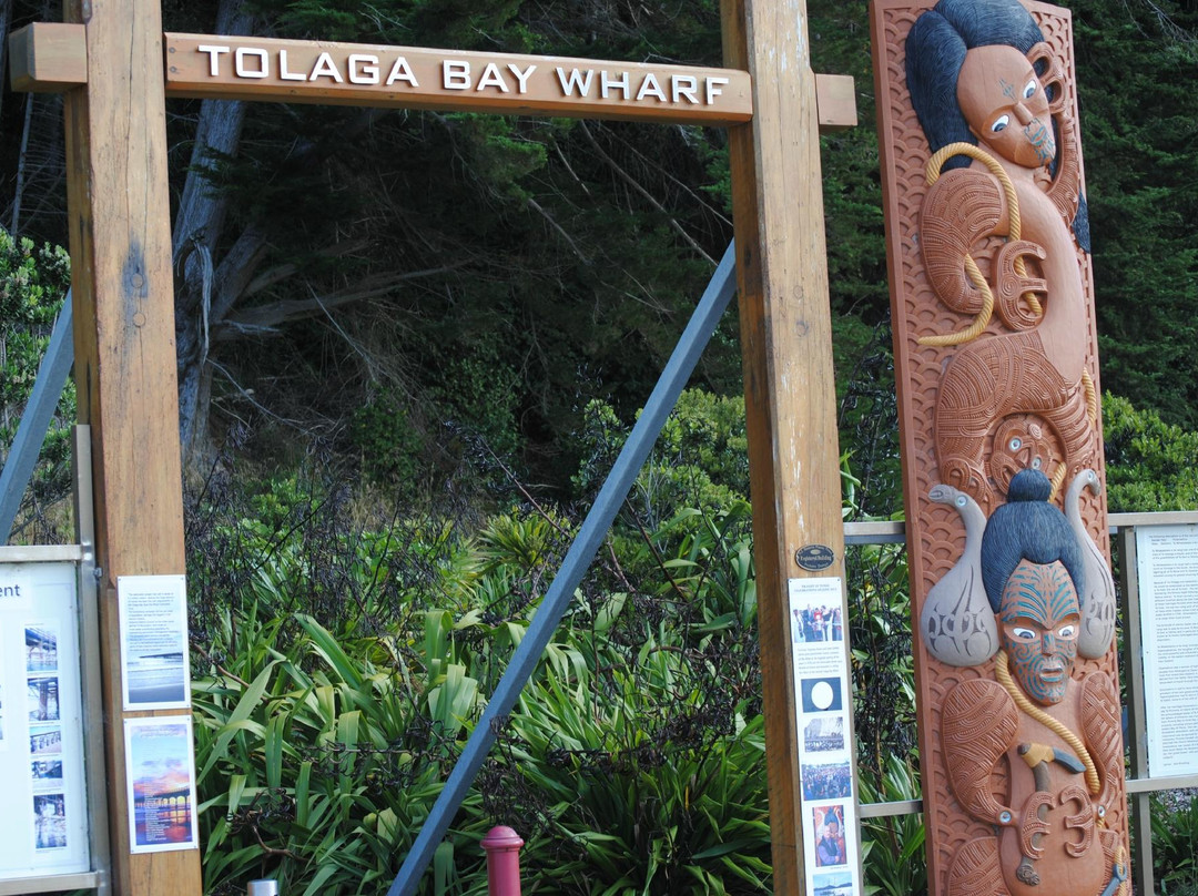 Tolaga Bay Motel主图