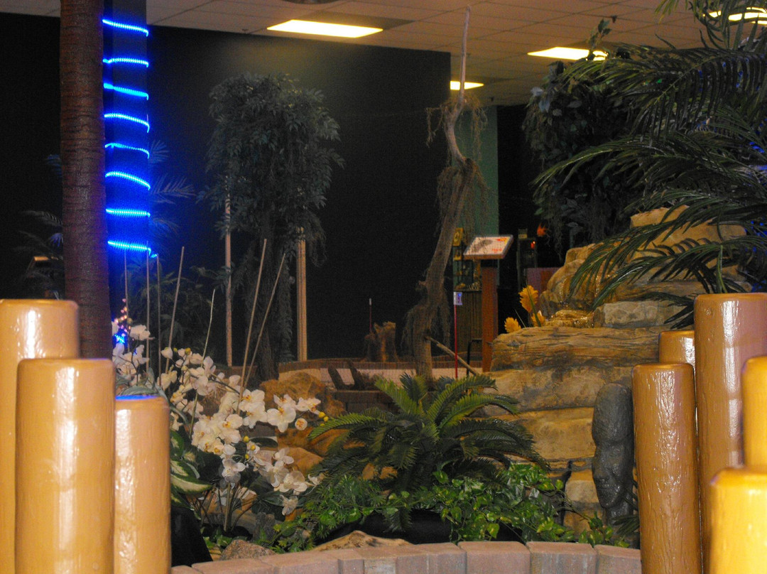 Cool Dozen Micro Golf-Selkirk必去景点