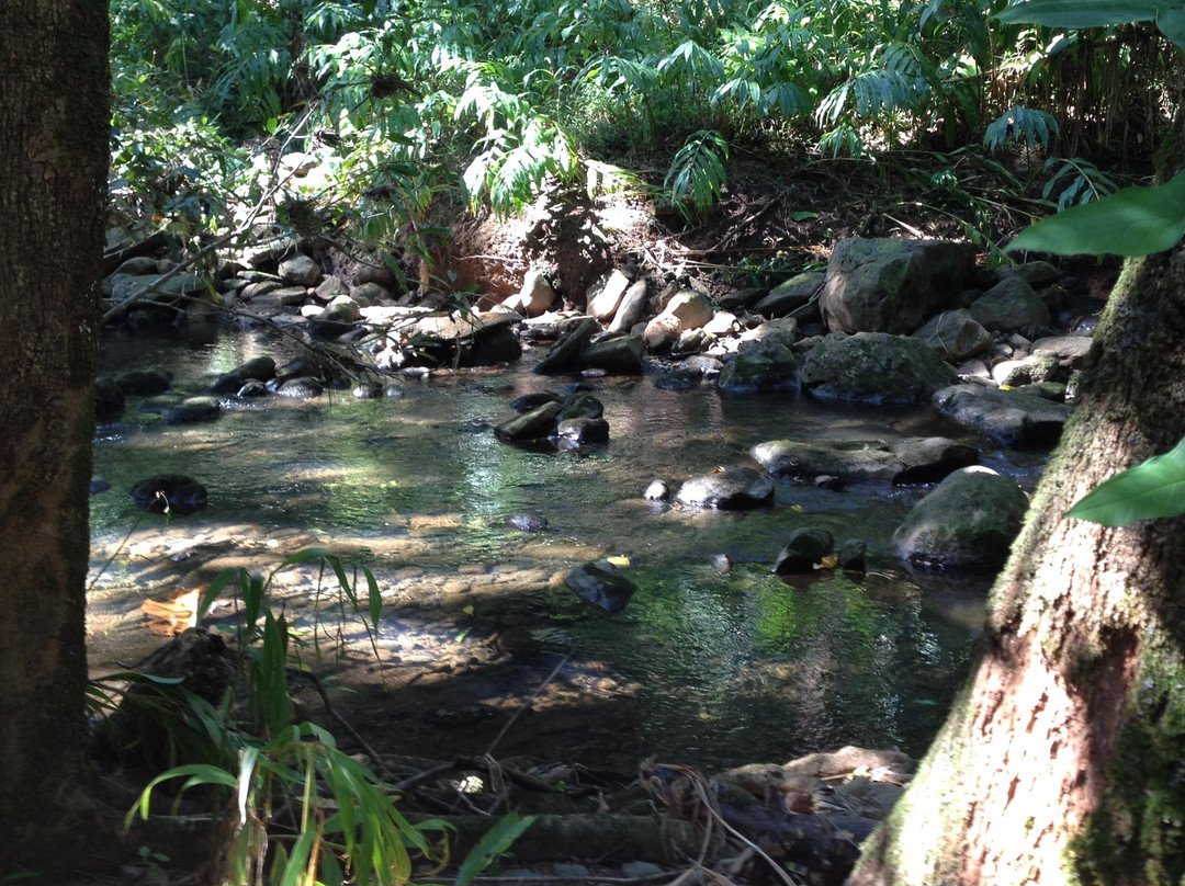 Maui Paradise Tours-海库必去景点