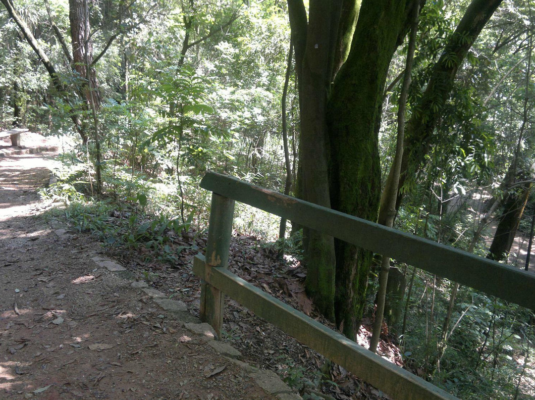 Bosque Maia-瓜鲁柳斯必去景点