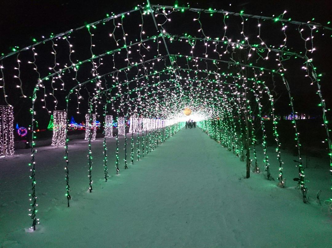 Lake Haruna Illumination Festa景点图片
