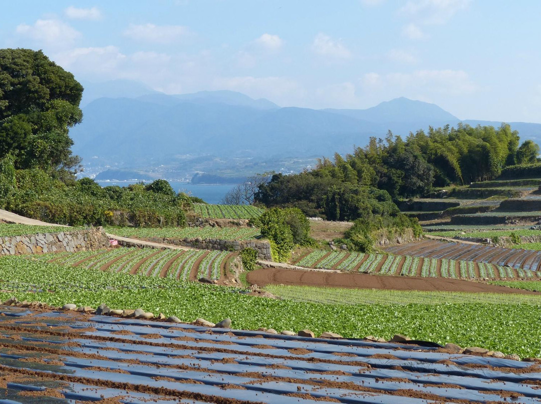 Kunisaki Peninsula Nature Park-云仙市必去景点