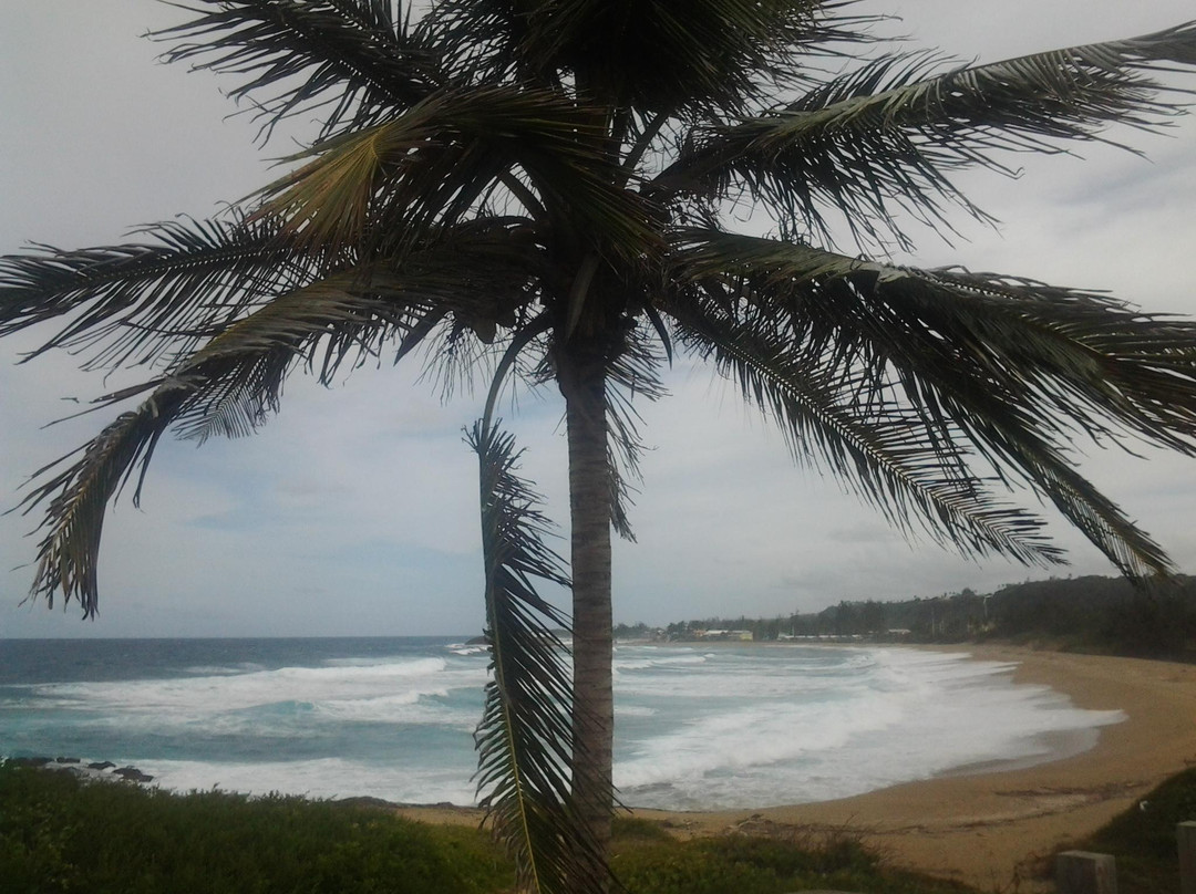 Pozo de Jacinto-Isabela必去景点