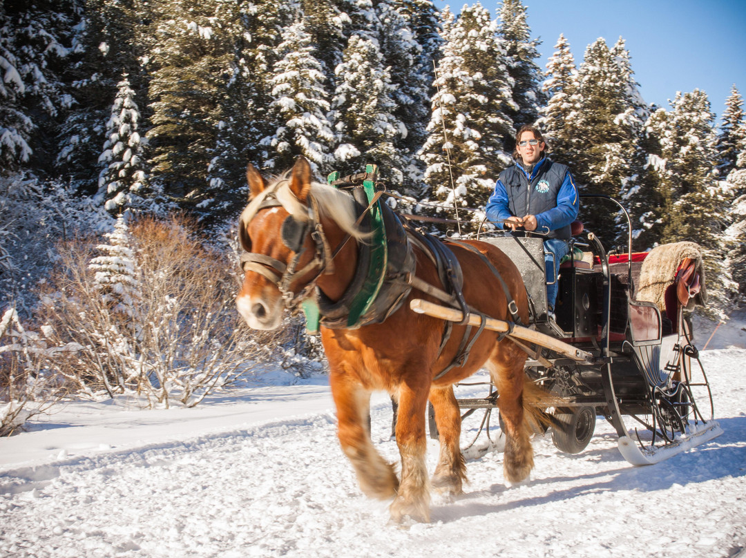 Les Attelages Molinas-La Bathie必去景点