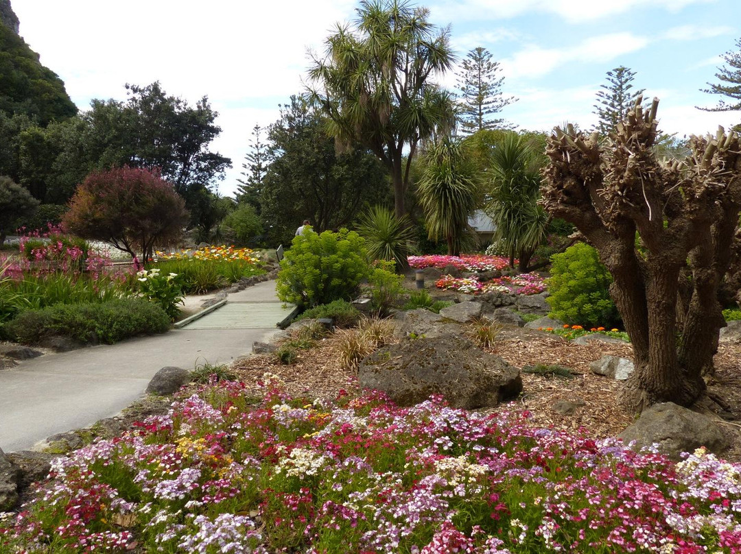 Centennial Garden-纳皮尔必去景点
