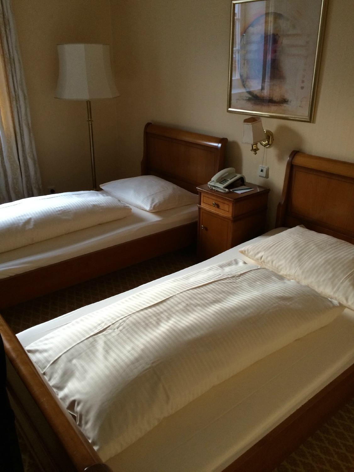 Hotel Ludwig im Park-客卧
