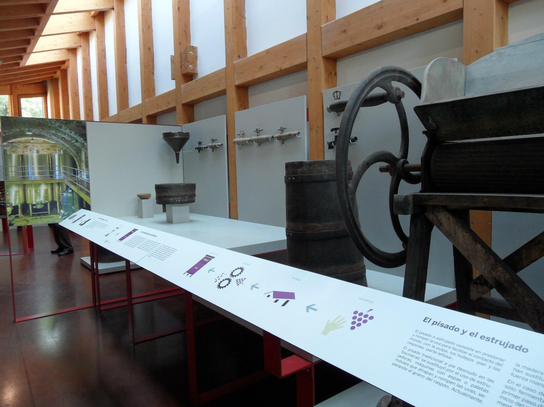 Museo Del Vino de Cangas de Narcea景点图片