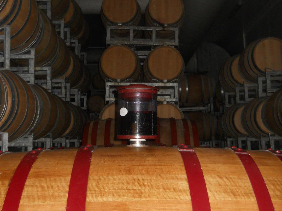 Tabor Winery-Kfar Tavor必去景点