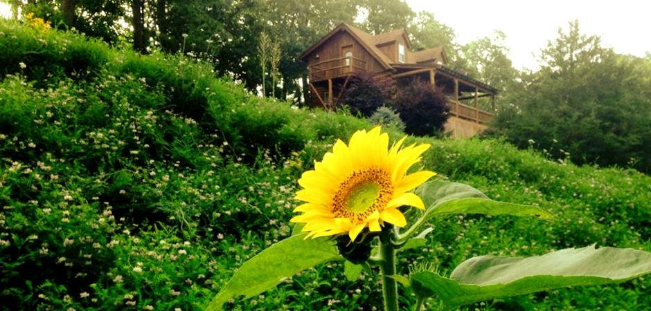 A Lazee Daze in the Ozarks