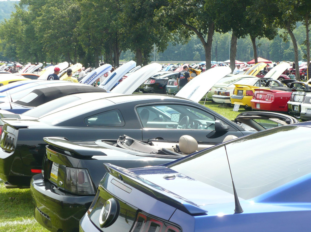 Maple Grove Raceway景点图片