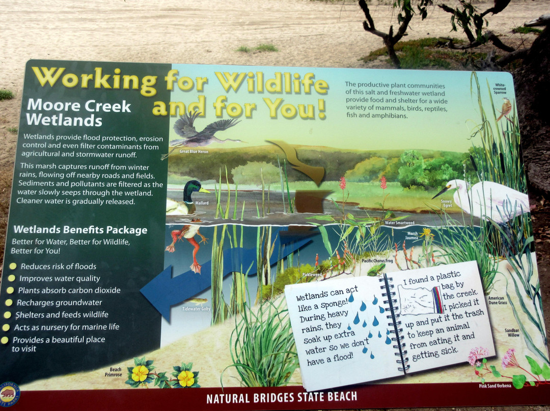 Moore Creek Wildlife Preserve-圣克鲁斯必去景点