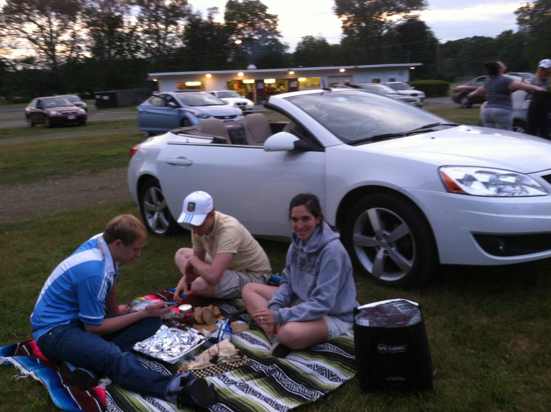 Hyde Park Drive-In Theatre-海德公园必去景点