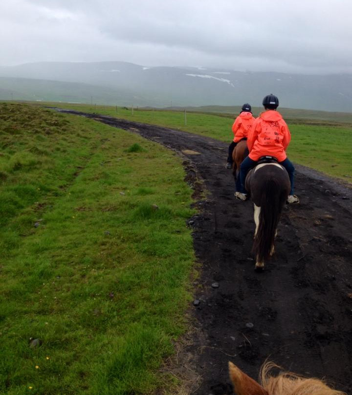 Galsi Horse Rental-Blonduos必去景点