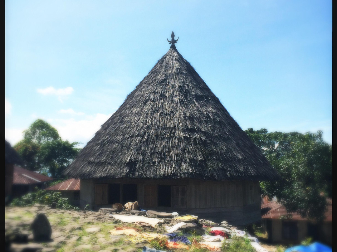 Ruteng Pu'u Village景点图片