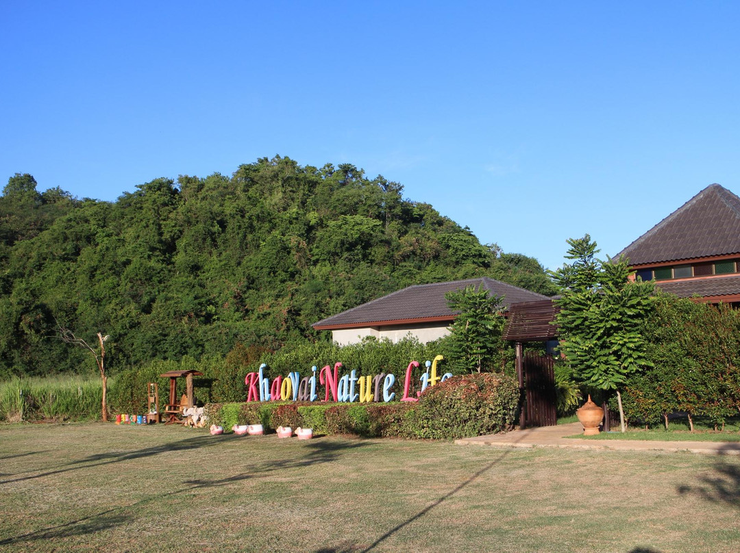 Nong Nam Daeng旅游攻略图片