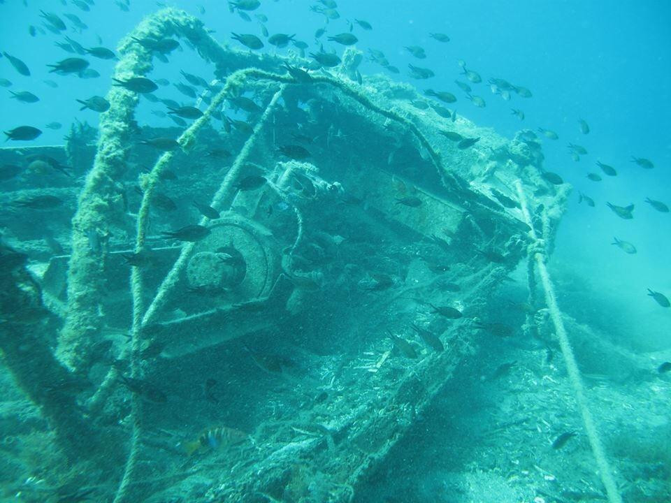 Diving-Zuzic景点图片