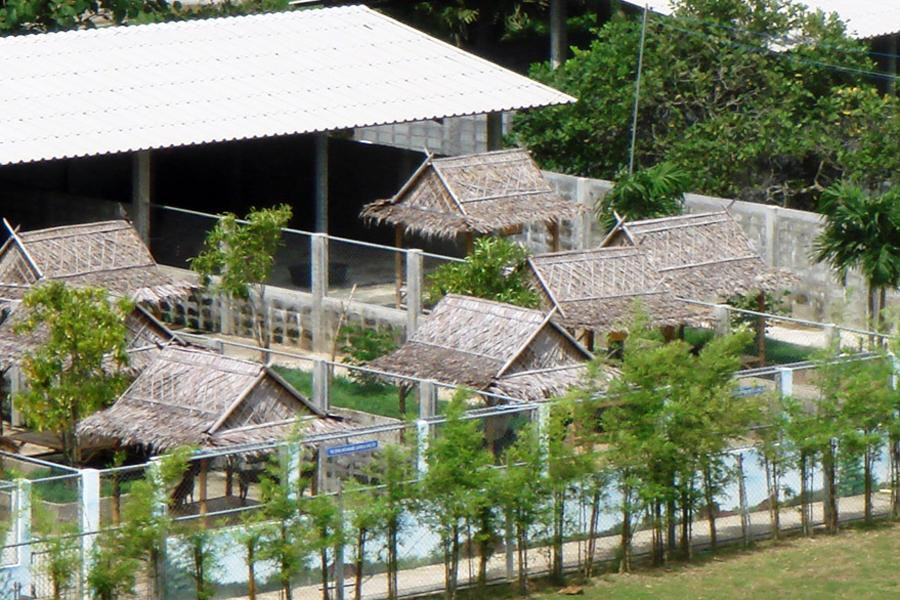 流浪狗基金会-普吉岛必去景点