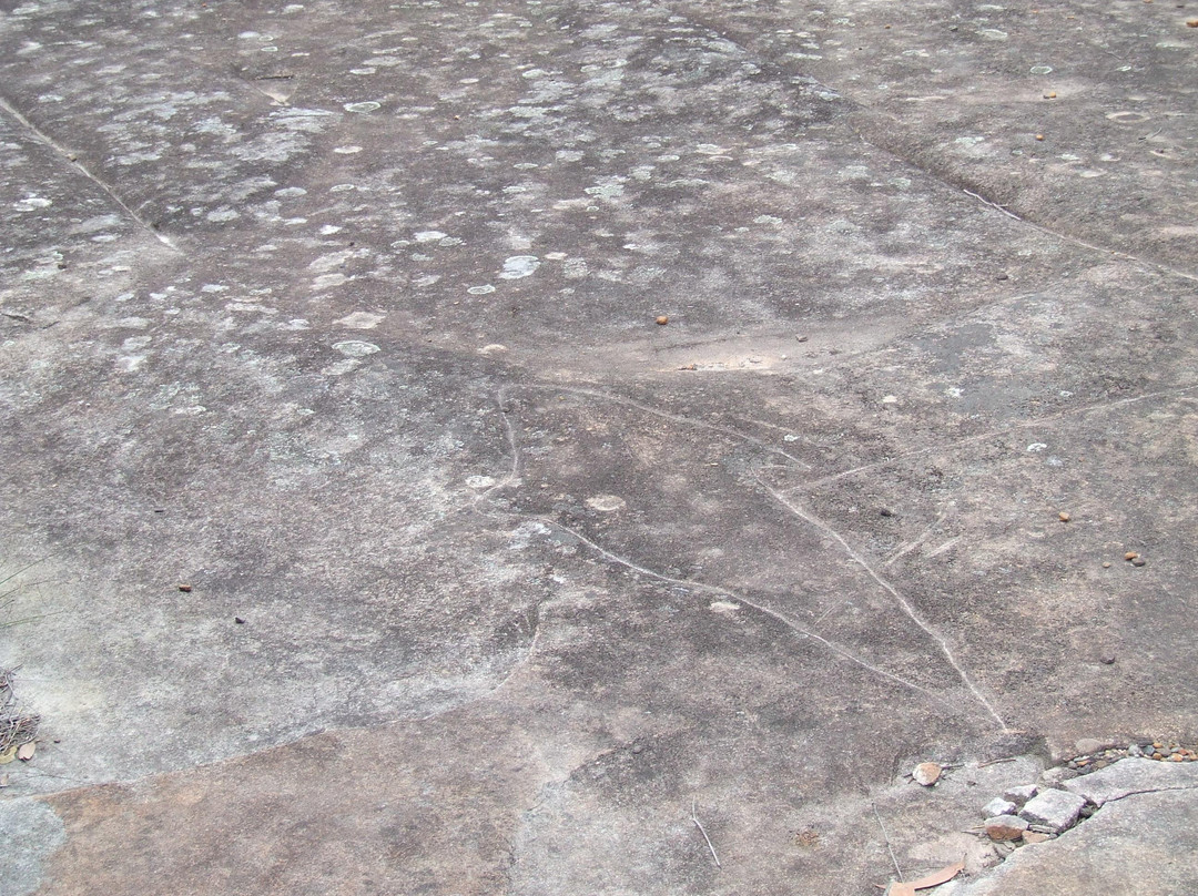 Bulgandry Aboriginal Engraving Site-Kariong必去景点
