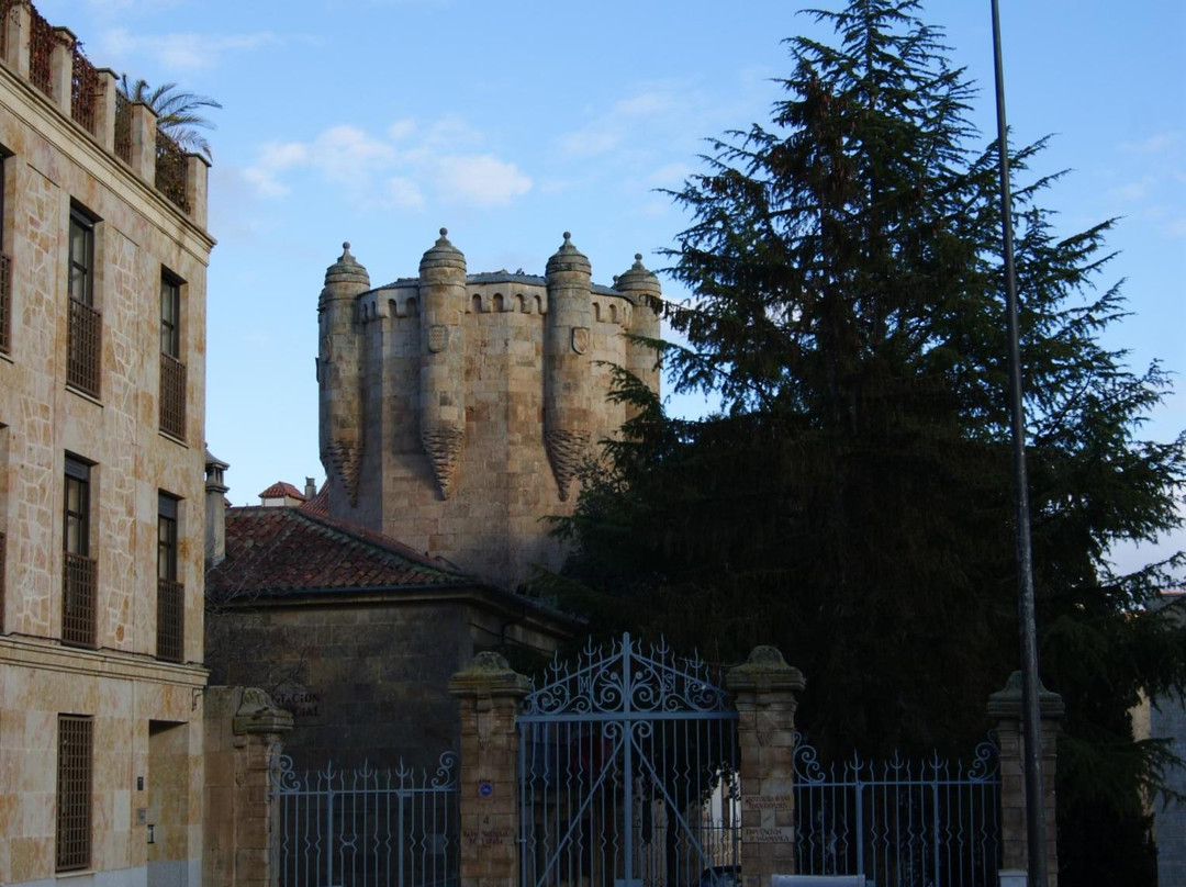 Torre del Clavero-萨拉曼卡必去景点