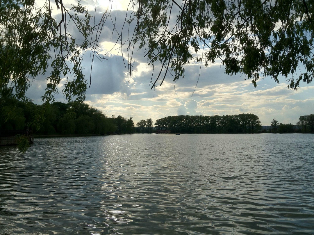 Town Lake-Ivano-Frankivsk必去景点