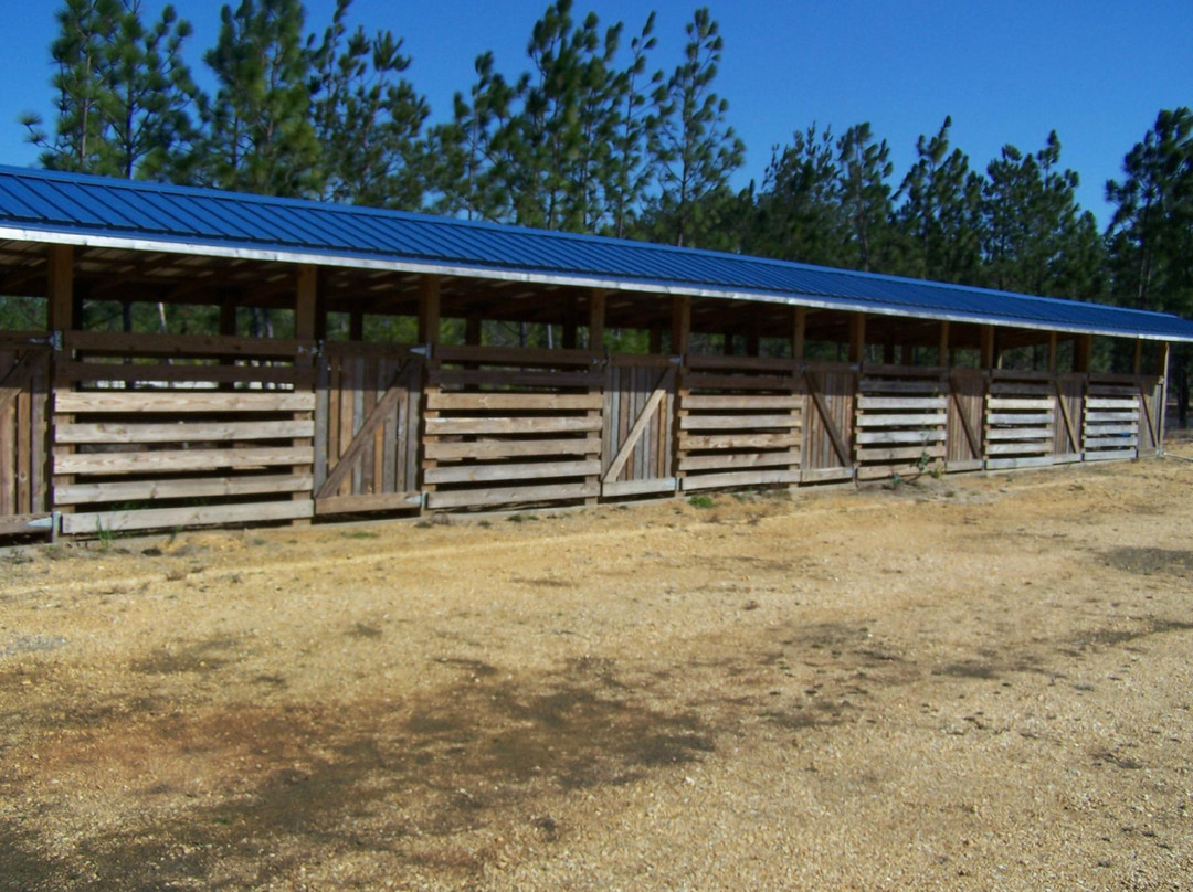 Magnolia Branch Wildlife Reserve
